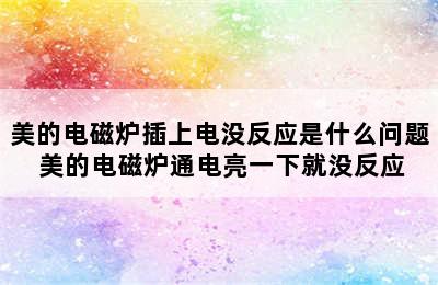 美的电磁炉插上电没反应是什么问题 美的电磁炉通电亮一下就没反应